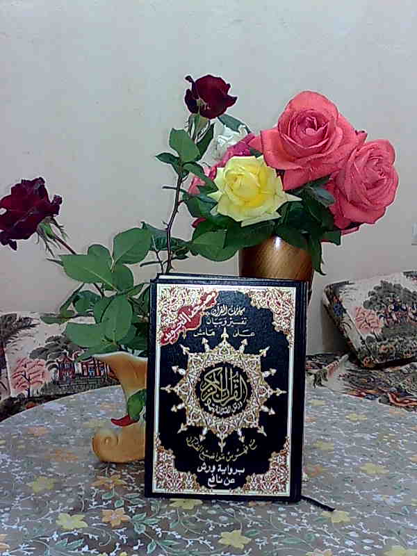 ابراهيم   دادي